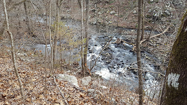 Petit Jean State Park - Canyon Trail - AR Own Backyard