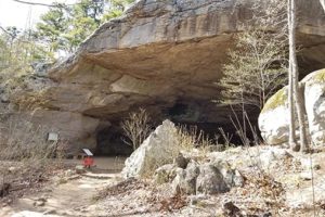 Rock House Cave - Petit Jean State Park