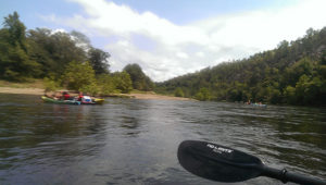 Floating the Lower Ouachita River - AR Own Backyard