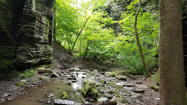 Six Finger Falls and Fuzzy Butt Falls - AR Own Backyard