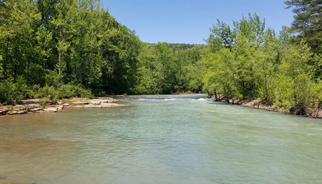 Floating High Bank to Byrd's on the Mulberry River