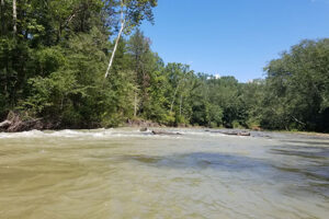 Wolf Pen to Byrd's on the Mulberry River