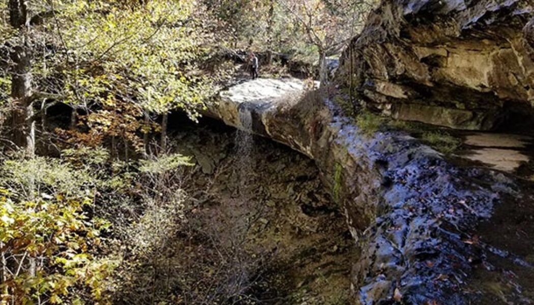 Hike to Hideout Hollow in the Arkansas Ozarks