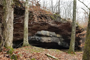 Alum Cove Natural Bridge Recreation Area