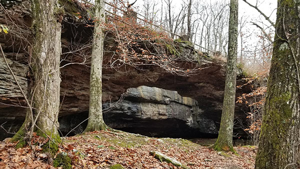 Alum Cove Natural Bridge Recreation Area