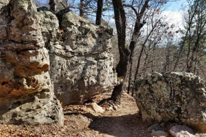 mountain bike trails at Mt. Nebo State Park, AR