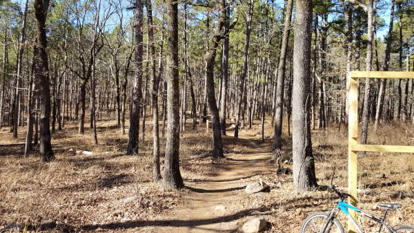 Bogue chitto state online park mountain bike trails