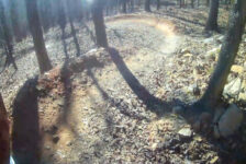 Mountain Biking at Pinnacle Mountain State Park