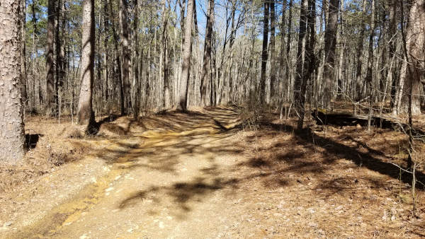 Hike to Schoolhouse Falls near Lost Corner