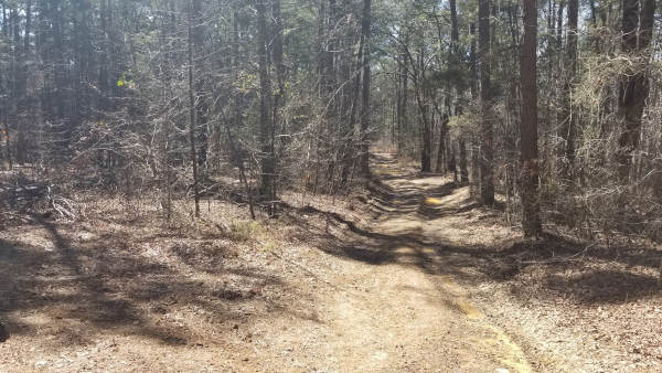 Hike to Schoolhouse Falls near Lost Corner