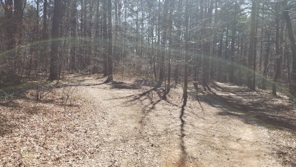 Hike to Schoolhouse Falls near Lost Corner