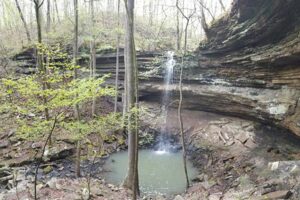 Hike to Mineral Springs Falls