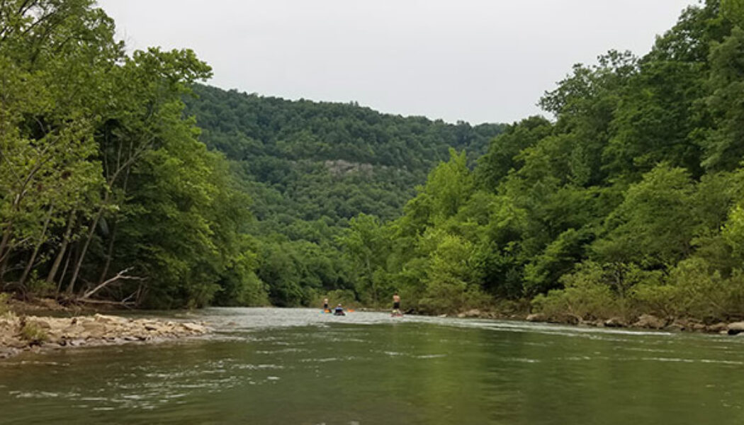 Middle Fork Little Red River Float