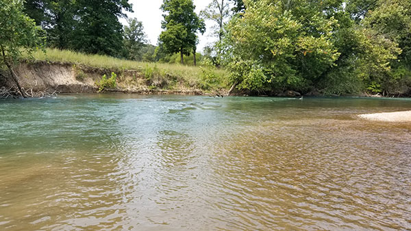 Floating The Eleven Point River In Arkansas - Ar Own Backyard