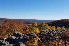 Hike to Buzzards Roost in the Ozark National Forest