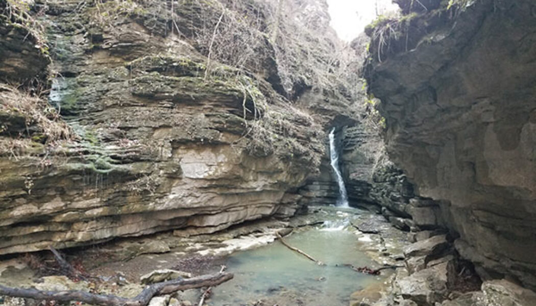 Hike to Thunder Canyon Falls