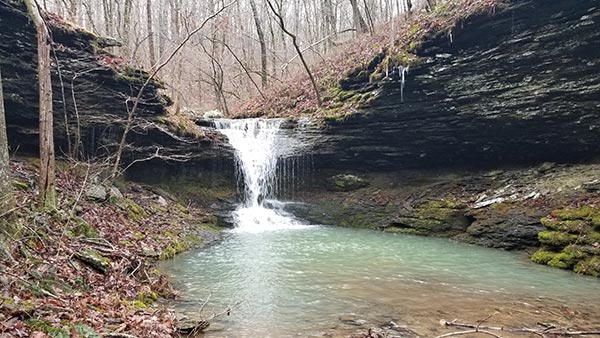 Creekside hike to Brushy Grotto Falls