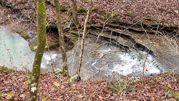 Creekside hike to Brushy Grotto Falls