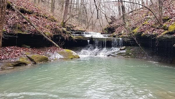 Creekside hike to Brushy Grotto Falls