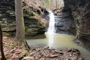 Creekside hike to Green Grotto Falls