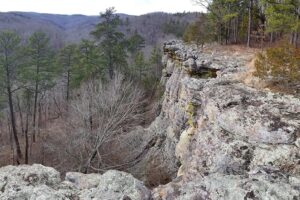 Hiking the Kings Bluff Loop