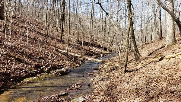 Bear Creek Waterfall Hike - AR Own Backyard