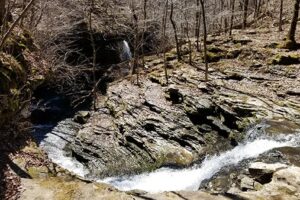 Bear Creek Waterfall Hike