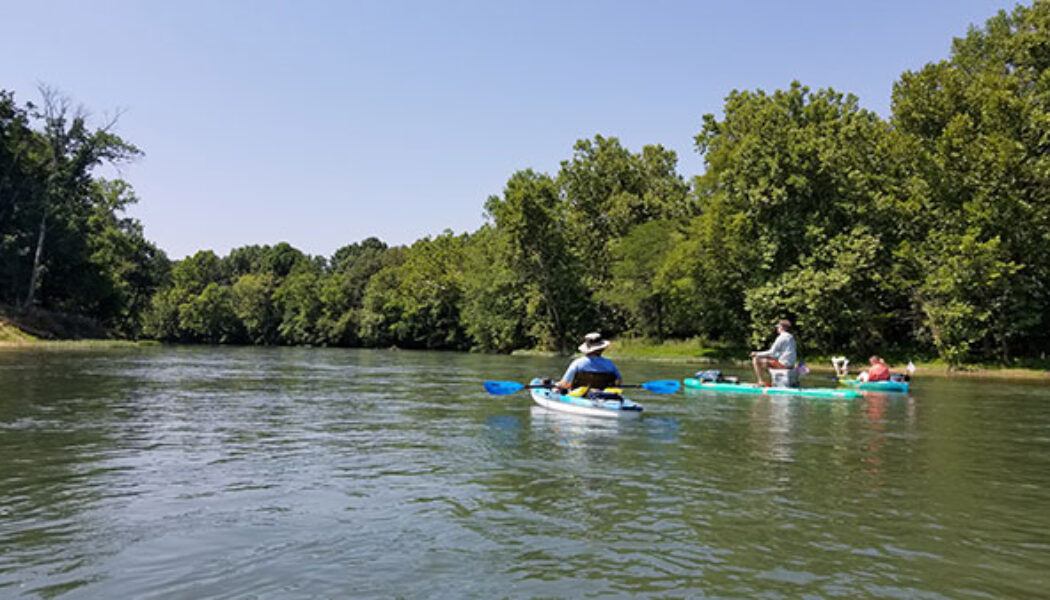 Dalton to Shanty On the Eleven Point River