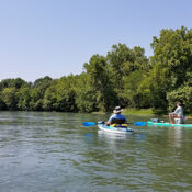 Dalton to Shanty On the Eleven Point River