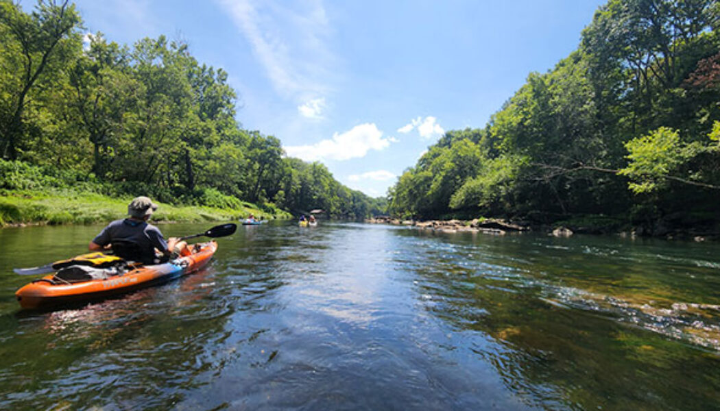 Swinging Bridge to Lobo Landing on the Little Red River