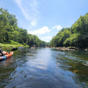 Swinging Bridge to Lobo Landing on the Little Red River