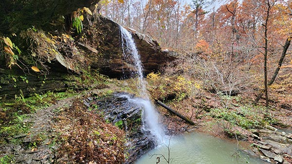 Hike to Fern Falls - AR Own Backyard