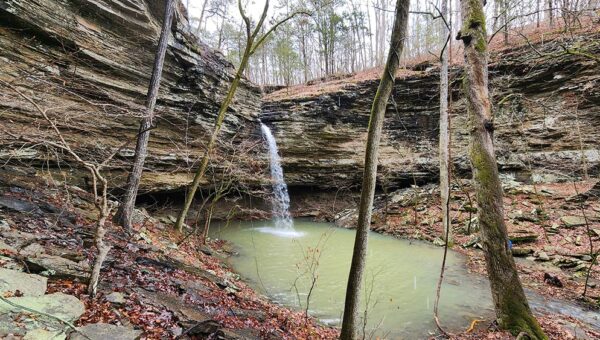 Hiking to Lizard Log Falls near Lost Corner, AR