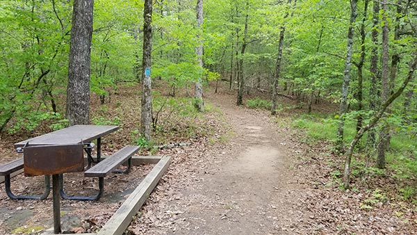 Hiking Cossatot Falls at Cossatot River State Park