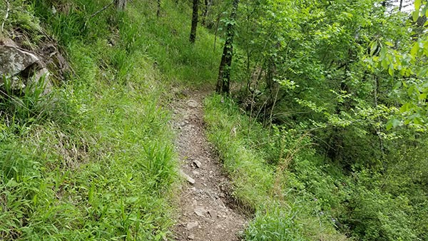 Hiking Cossatot Falls at Cossatot River State Park