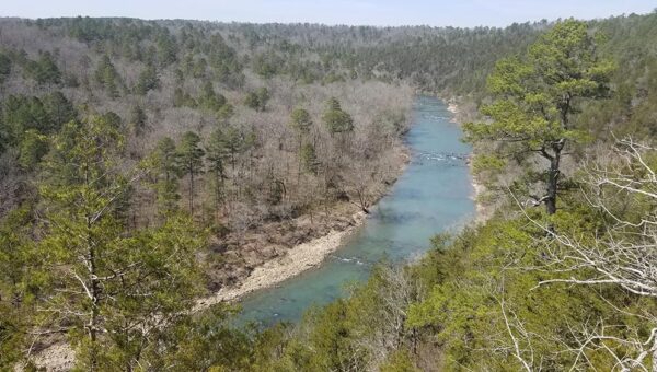 Harris Creek Trail Hike at Cossatot River State Park