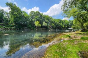 Floating Cow Shoals to Swinging Bridge on the Little Red River