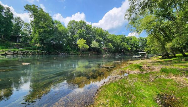 Floating Cow Shoals to Swinging Bridge on the Little Red River