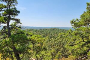 Hiking and Mountain Biking at Blue Mountain Natural Area