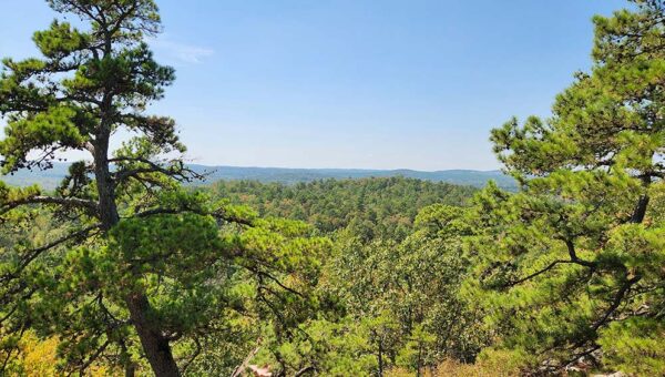 Hiking and Mountain Biking at Blue Mountain Natural Area