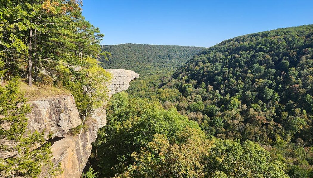 Hike to Whitaker Point (Hawksbill Crag) in the Arkansas Ozarks