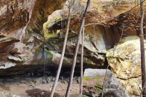 Hike to Pam's Grotto near Haw Creek