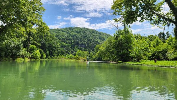 Greer Crossing to Whitten on the Eleven Point River