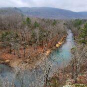 Exploring Bluffton Preserve in the Arkansas Ozarks