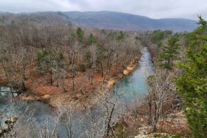 Exploring Bluffton Preserve in the Arkansas Ozarks