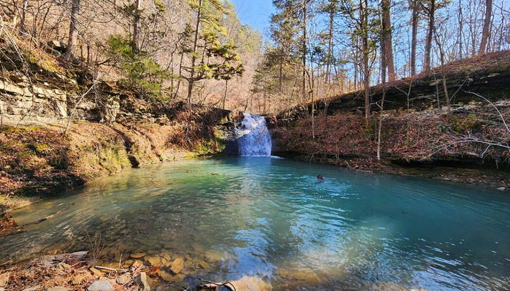 Hike to Stave Mill Falls and Little Oak Falls